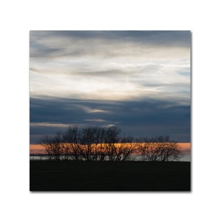 Trademark Fine Art
